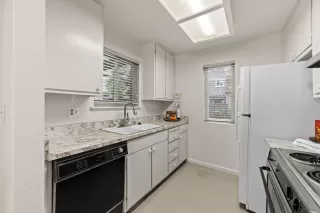 Photo #5: 224017815 Listing