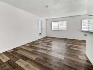 Photo #6: 224018635 Listing 