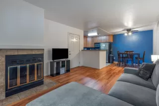 Photo #1: 224019331 Listing 