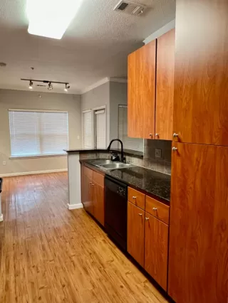 Photo #5: 224019762 Listing