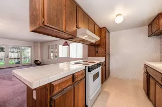 Photo #5: 224019773 Listing 