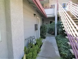 Photo #1: 224020463 Listing 