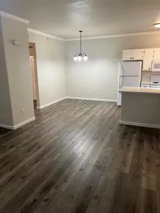 Photo #1: 224020577 Listing 