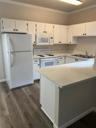 Photo #4: 224020577 Listing 