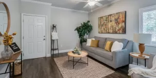 Photo #1: 224021048 Listing 