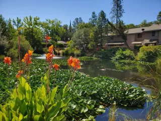 Photo #3: 224021537 Listing