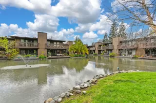 Photo #1: 224023519 Listing