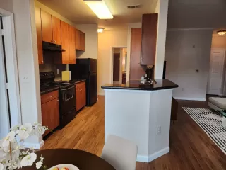 Photo #3: 224025498 Listing