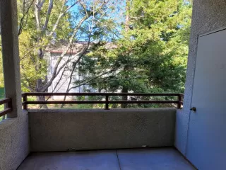 Photo #6: 224026558 Listing 