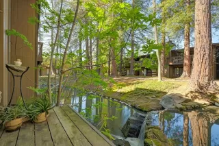 Photo #4: 224026842 Listing