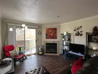 Photo #1: 224027266 Listing