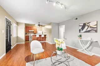 Photo #4: 224028633 Listing