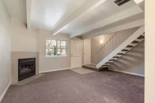 Photo #1: 224030778 Listing