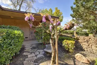 Photo #3: 224031479 Listing 