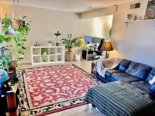 Photo #1: 224031572 Listing 