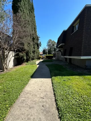 Photo #1: 224032628 Listing