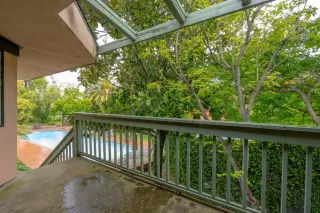 Photo #2: 224032834 Listing 