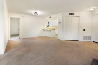 Photo #6: 224032834 Listing 