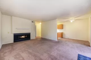 Photo #1: 224032917 Listing