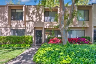 Photo #1: 224033462 Listing