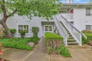 Photo #1: 224033699 Listing