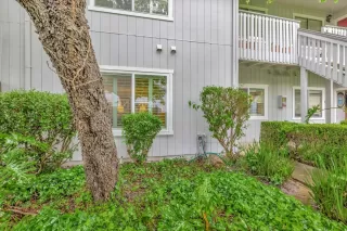 Photo #2: 224033699 Listing