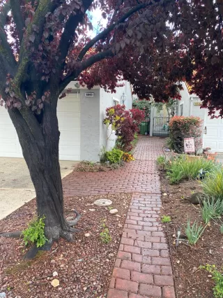 Photo #2: 224033945 Listing 