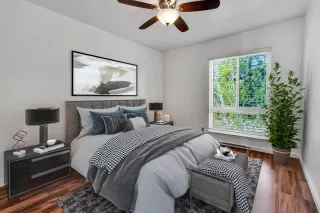 Photo #6: 224034137 Listing 