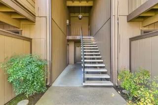 Photo #1: 224034251 Listing