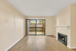 Photo #5: 224034251 Listing