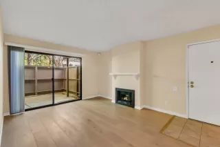 Photo #6: 224034251 Listing