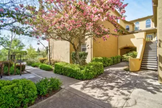 Photo #2: 224035373 Listing 