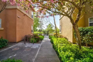 Photo #3: 224035373 Listing 