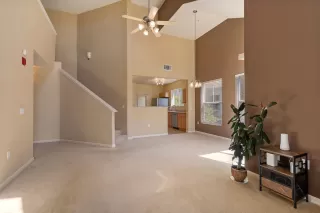 Photo #5: 224035804 Listing 