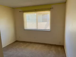 Photo #5: 224036411 Listing 