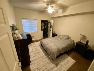 Photo #3: 224037181 Listing 