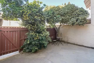 Photo #6: 224037450 Listing 