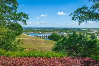 Photo #1: 224037855 Listing 