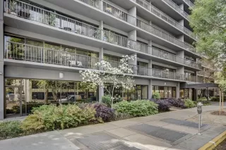 Photo #2: 224038544 Listing