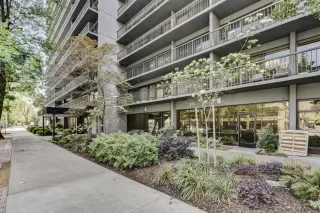 Photo #3: 224038544 Listing