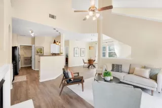 Photo #6: 224038633 Listing 