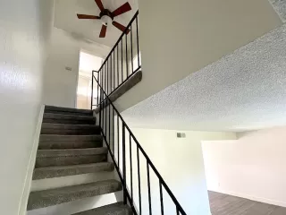 Photo #6: 224039236 Listing 