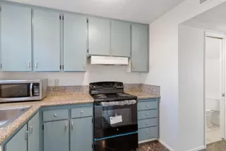 Photo #3: 224039512 Listing 