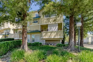 Photo #1: 224040315 Listing