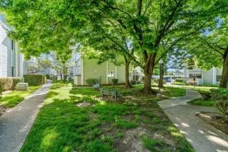 Photo #2: 224040329 Listing 