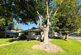 Photo #1: 224040391 Listing