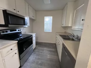 Photo #2: 224040433 Listing