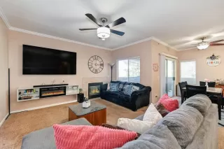 Photo #5: 224040606 Listing