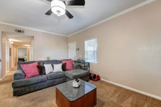Photo #6: 224040606 Listing