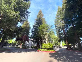 Photo #1: 224040907 Listing
